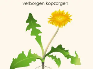 Migraine, verborgen kopzorgen
