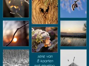 Kaartenset Winter21