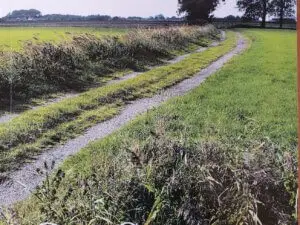 Op Struun